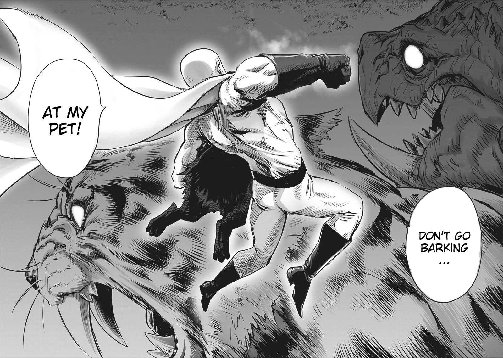 One Punch Man - Chapter 202.5 image 06